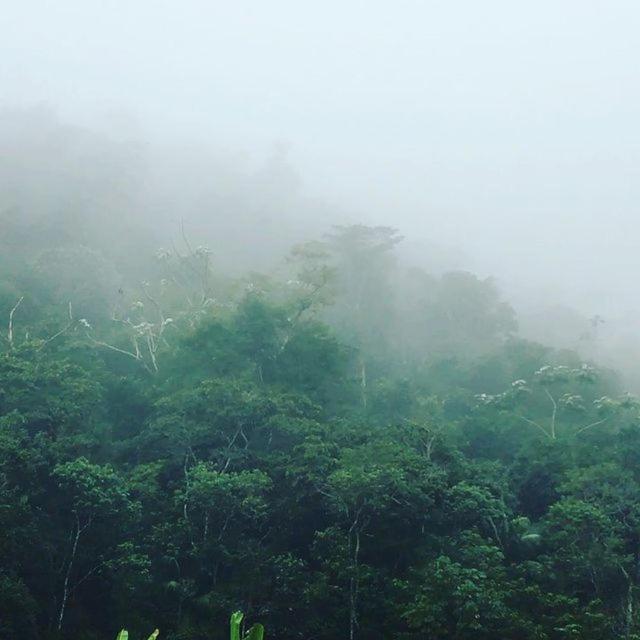 Sitio Recanto Da Preguica ซานตาเทเรซา ภายนอก รูปภาพ